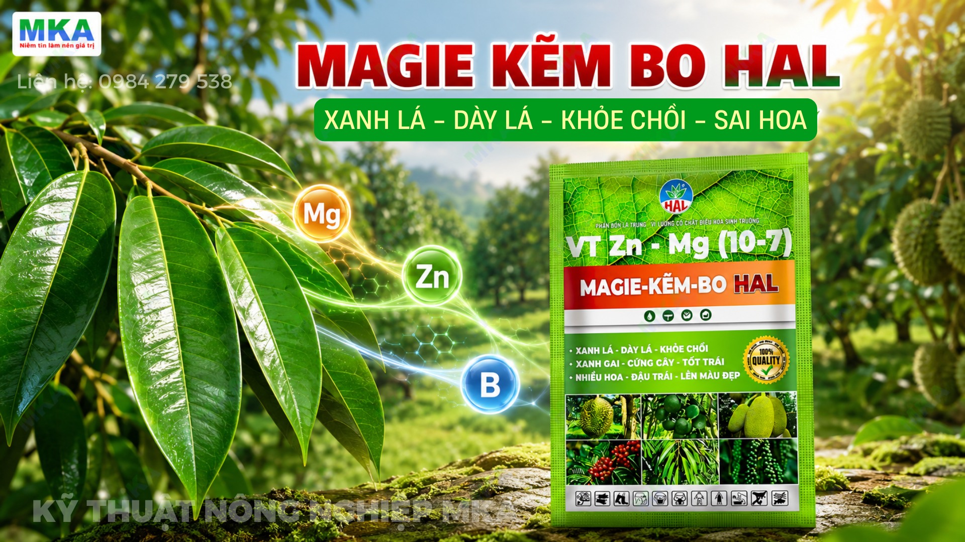 magie kẽm bo HAL là gì?